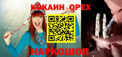 стаф Будённовск