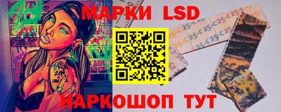 стаф Будённовск